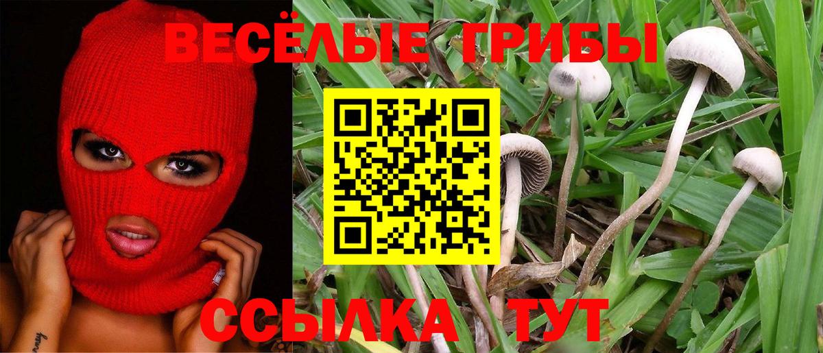 Псилоцибиновые грибы мухоморы  Галлюциногенные грибы Psilocybine cubensis  Качканар  Вход с VPN 