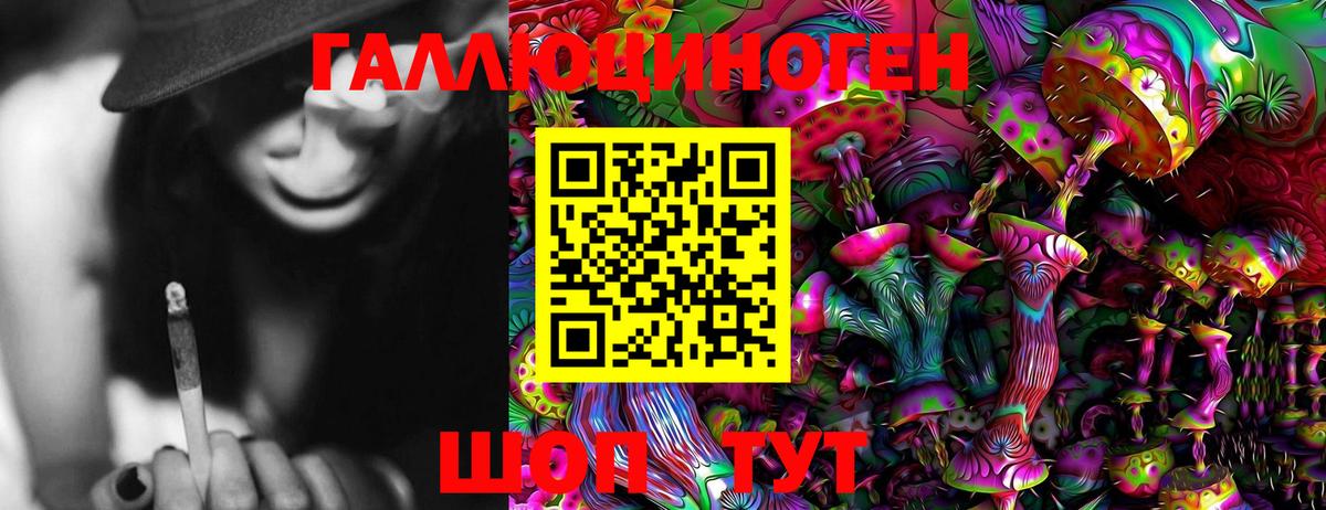 Галлюциногенные грибы Cubensis Качканар
